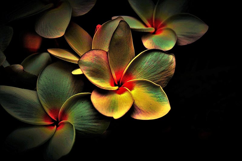 Rhythmic Flow